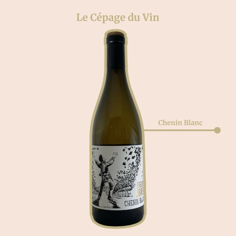 Domaine Gayda · Figure Libre · 2023