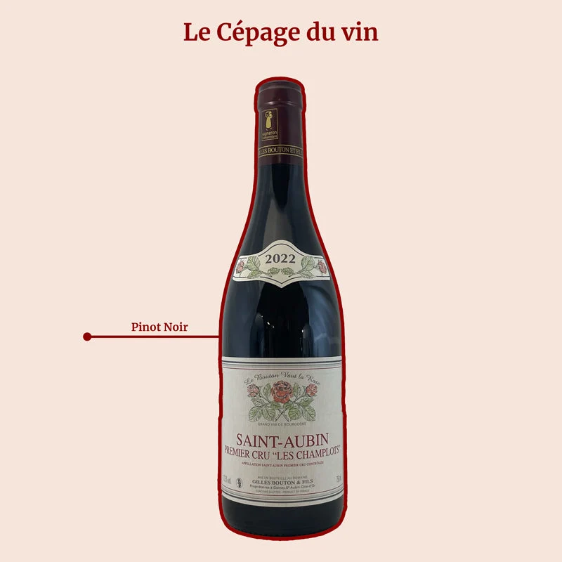 Domaine Gilles Bouton · Les Champlots · 2022