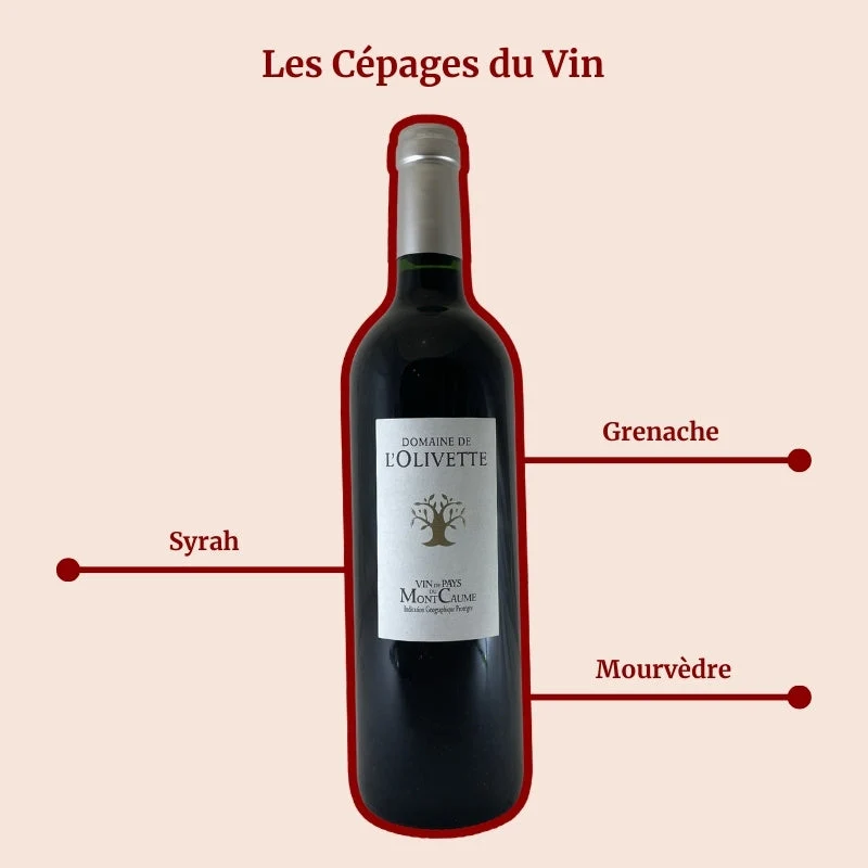 Domaine de l’Olivette · Mont de Caume · 2025