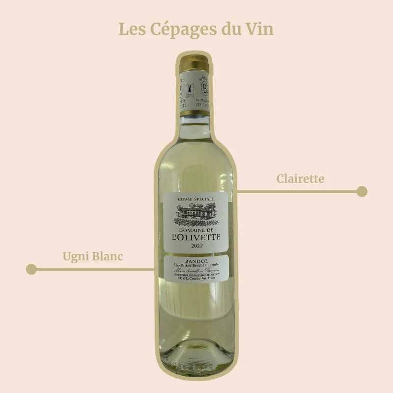Domaine de l’Olivette · 2024
