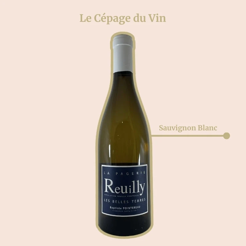 Domaine de la Pagerie · Les Belles Terres · 2021