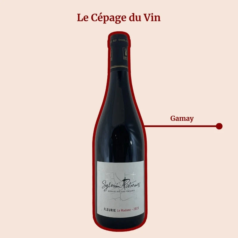 Domaine des Deux Fontaines · Sylvain Paturaux · La Madone · 2023
