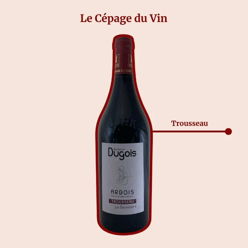 Domaine Dugois · La Damelière · 2022