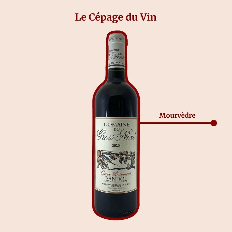 Domaine du Gros Noré · Cuvée Antoinette · 2020