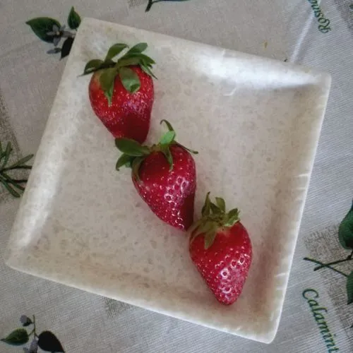Assiettes carrées mélamine haut de gamme