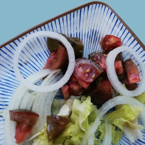 Assiettes et plats mélamine haut de gamme