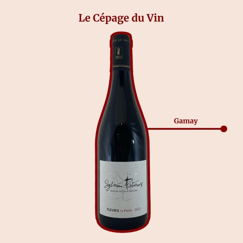 Domaine des Deux Fontaines · Sylvain Paturaux · La Presle · 2023