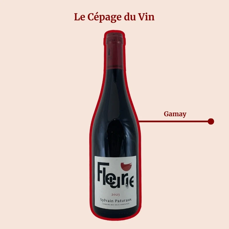 Domaine des Deux Fontaines · Sylvain Paturaux · 2023