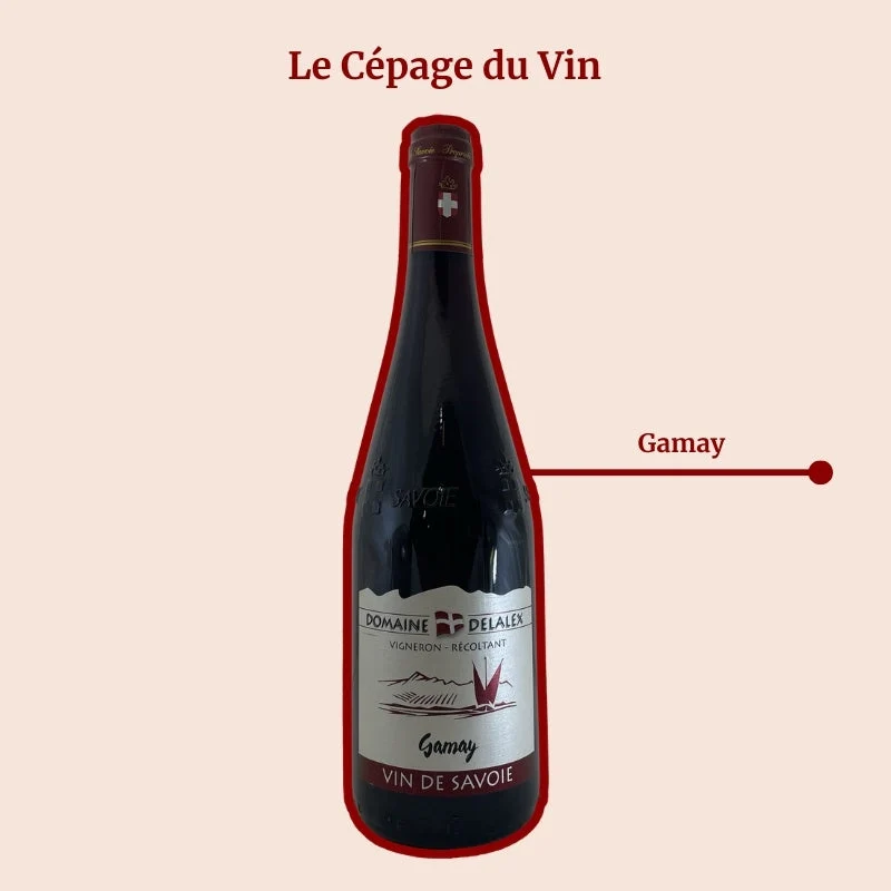 Domaine Delalex · Gamay · 2024