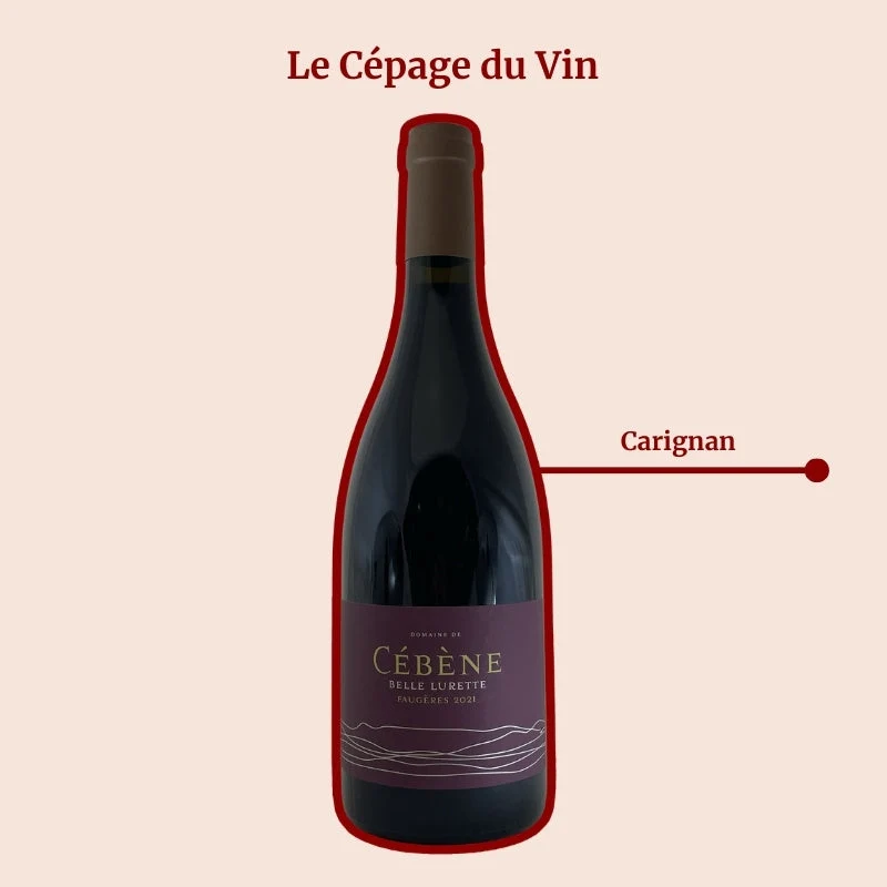 Domaine de Cébène · Belle Lurette · 2022