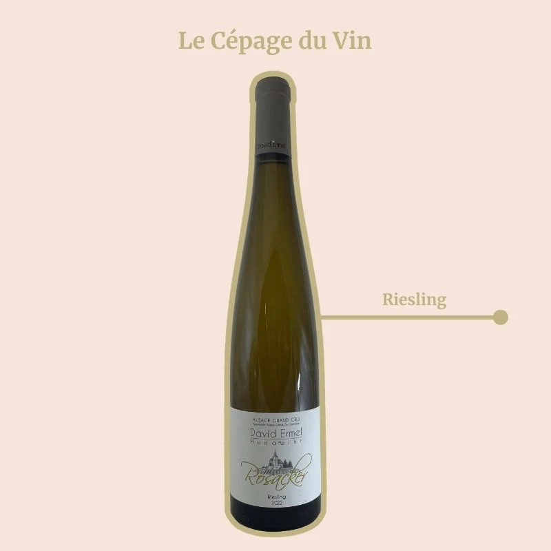Domaine David Ermel · Rosacker · 2021
