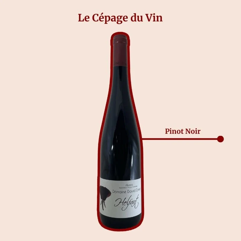 Domaine David Ermel · Coteau du Helfant · 2024