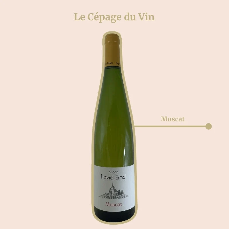 Domaine David Ermel · 2024
