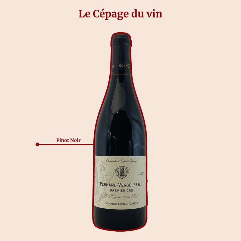 Domaine Cornu-Camus · Les Creux de la Net · 2022