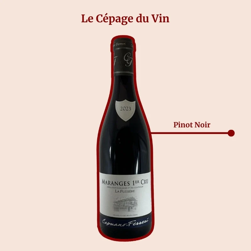 Domaine Capuano Ferreri · La Fussière · 2020