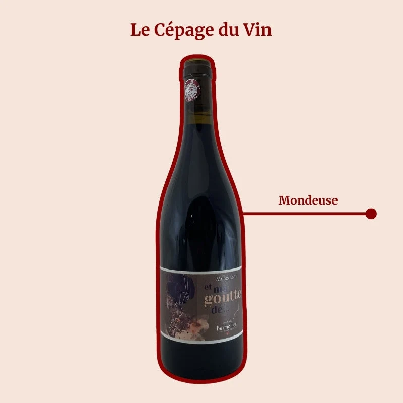 Domaine Berthollier · Et ma goutte de … · 2023