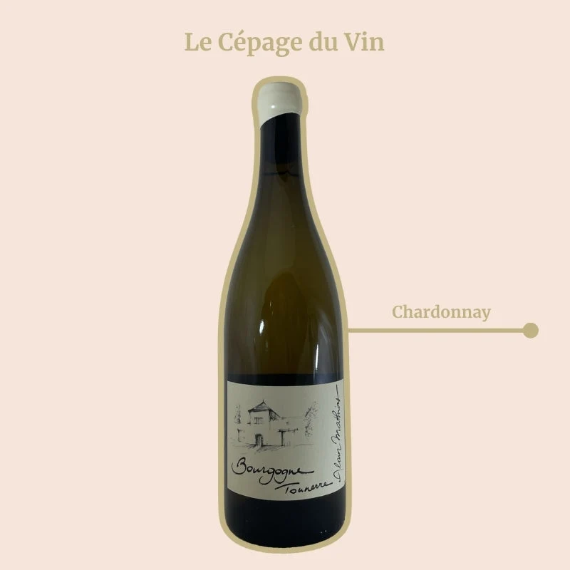 Domaine Alain Mathias · 2023