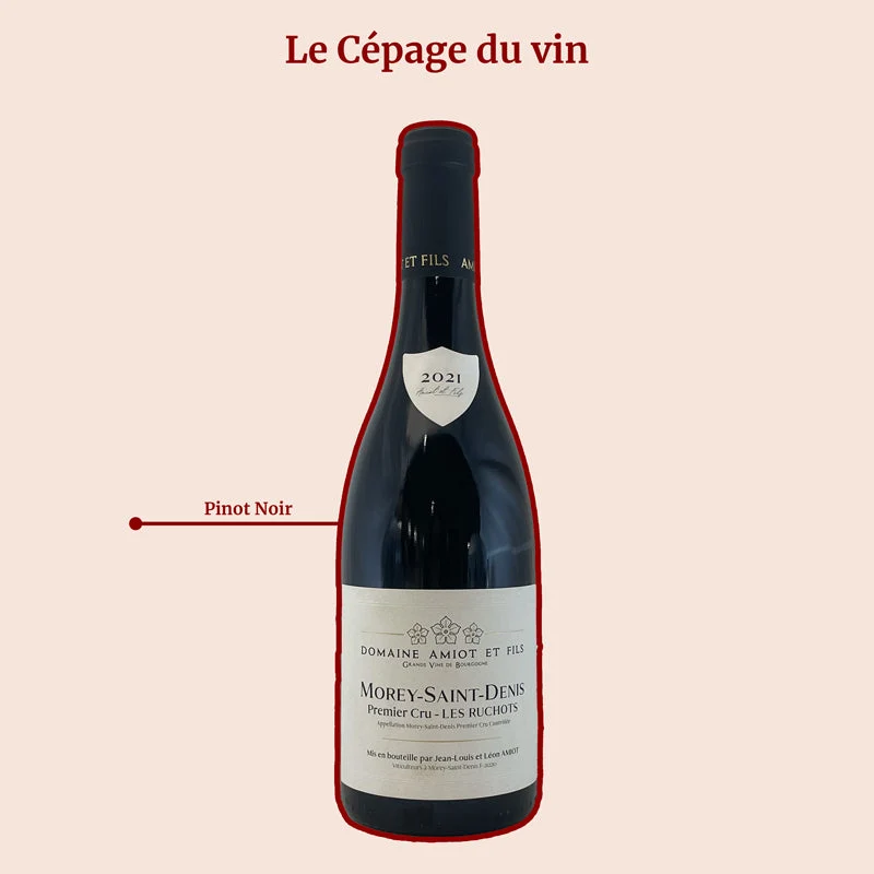 Domaine Amiot & Fils · Les Ruchots · 2021