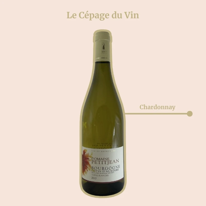Domaine Petitjean · Terre Blanche · 2024