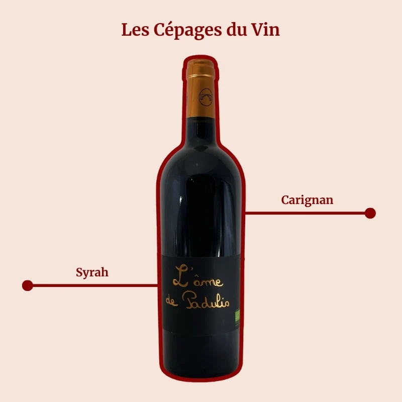 Clos Padulis · L’âme du Padulis · 2022