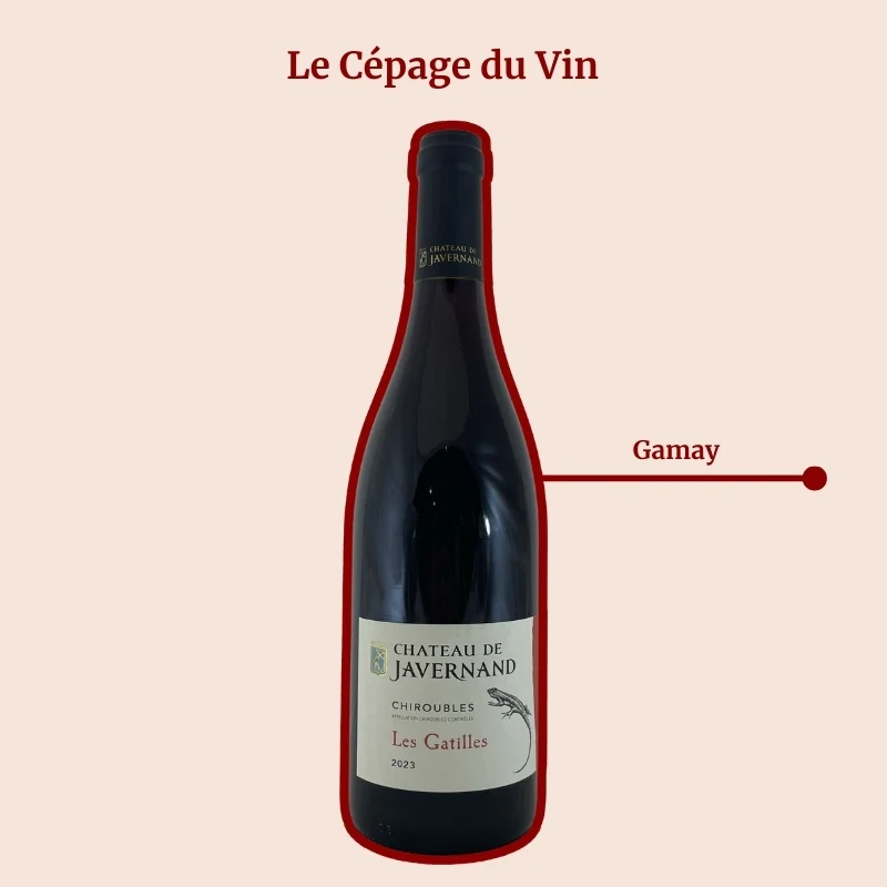 Château Javernand · Les Gatilles · 2024