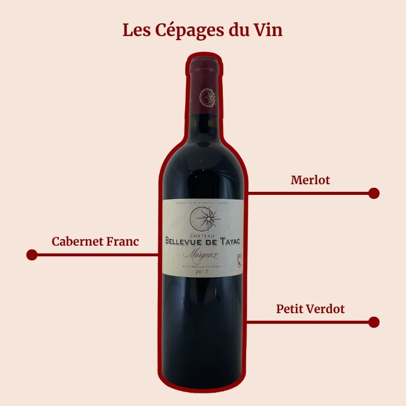Château Bellevue de Tayac · 2017
