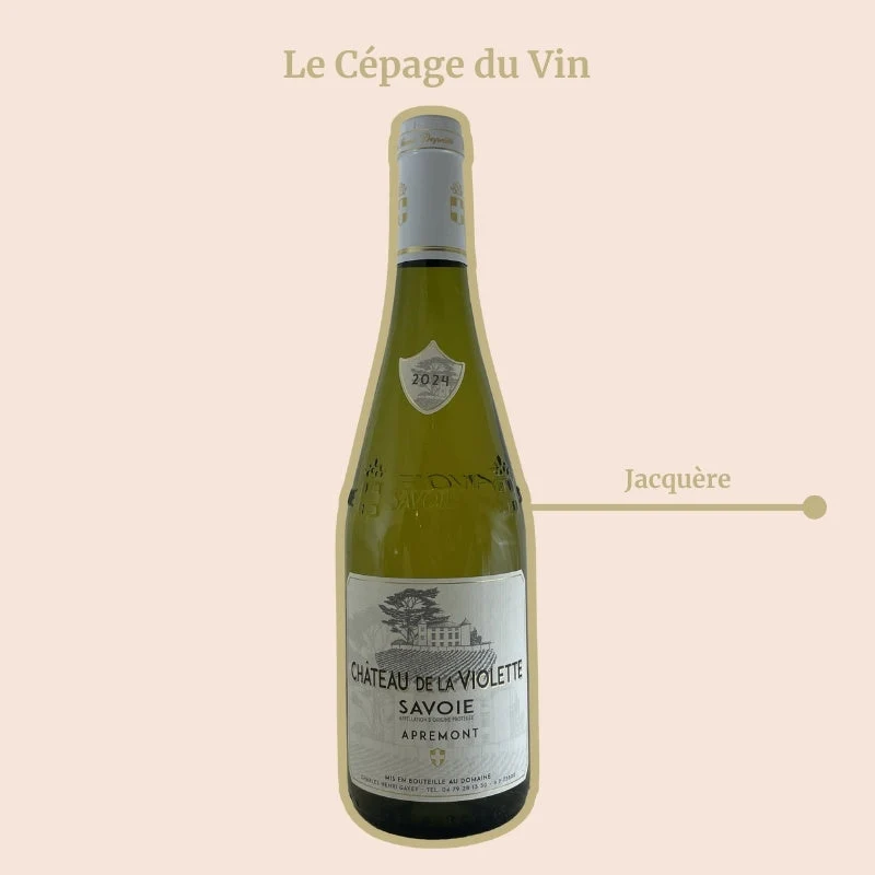 Château de la Violette · Apremont · 2025