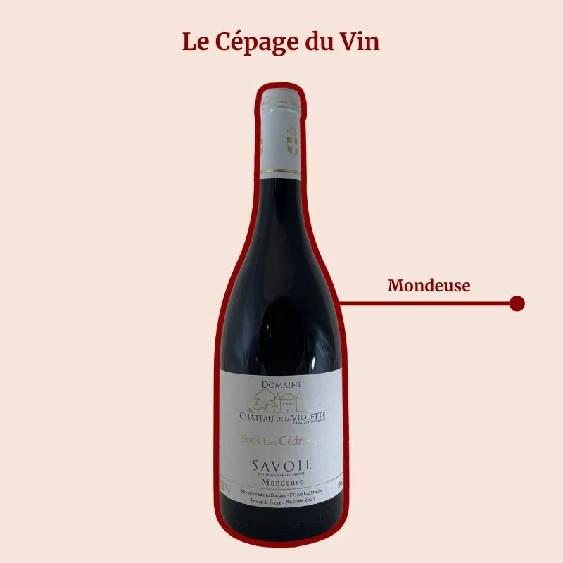 Château de la Violette · Sous les Cèdres · 2024