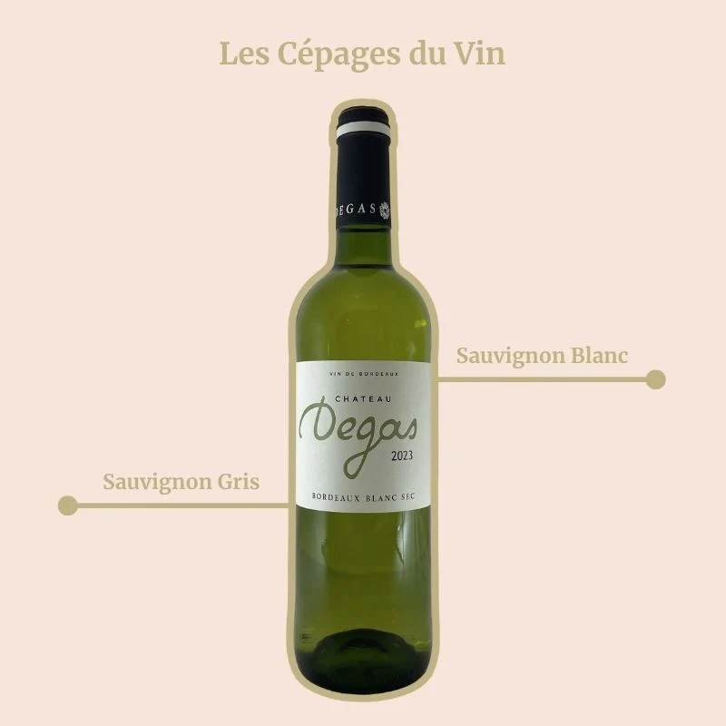 Château Degas · 2023