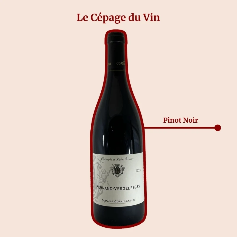 Domaine Cornu-Camus · 2023
