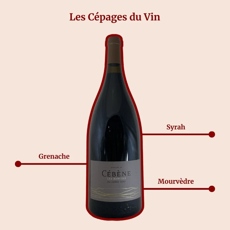 Domaine de Cébène · Les Bancèls · Magnum · 2020