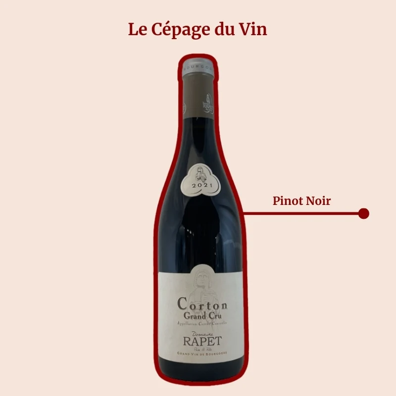 Domaine Rapet Père & Fils · 2021
