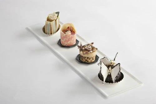 Plats de présentation pâtisserie boulangerie