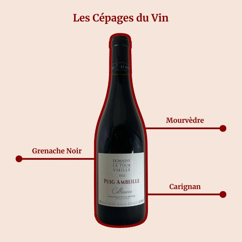Domaine La Tour Vieille · Puig Ambelle · 2022