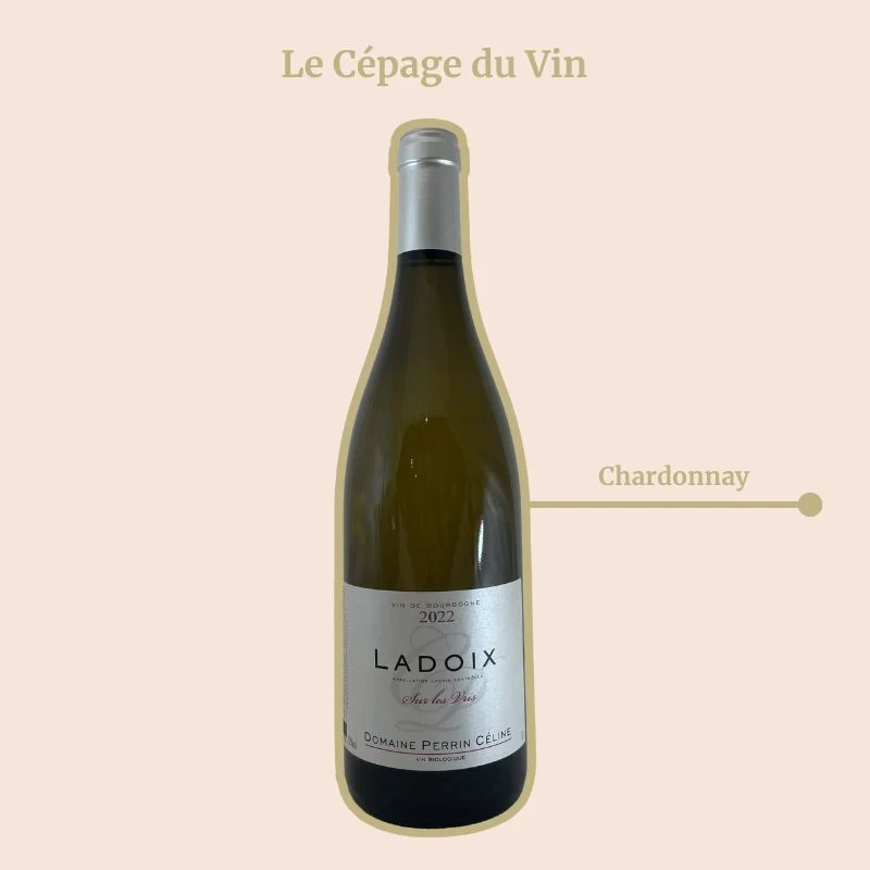 Domaine Perrin Céline · Sur les Vris · 2022