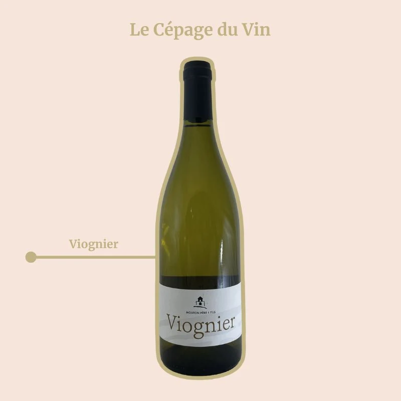 Domaine Mouton · Viognier · 2024
