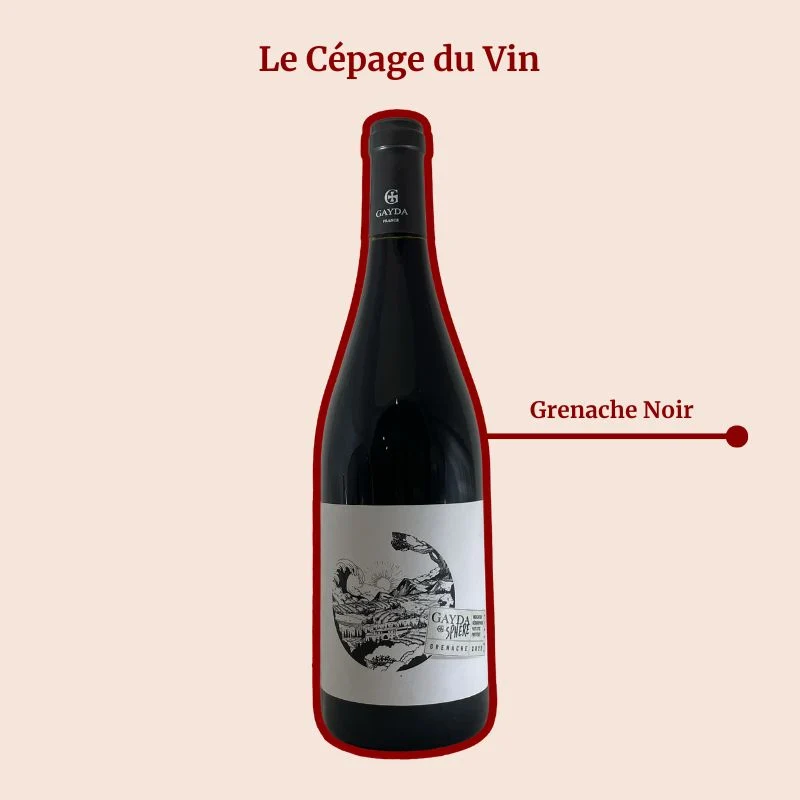 Domaine Gayda · 2022