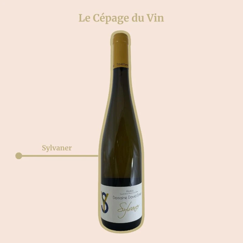 Domaine David Ermel · Sylvaner · 2024