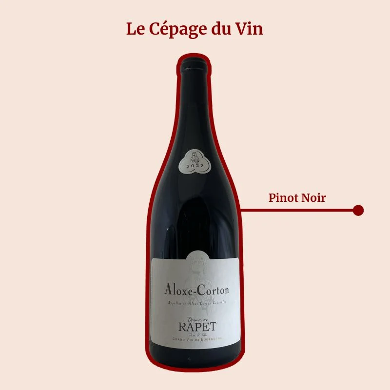 Domaine Rapet Père & Fils · Magnum · 2022