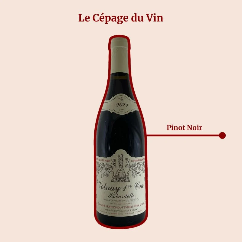 Domaine Rossignol-Février · Robardelle · 2021