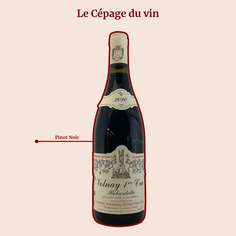 Domaine Rossignol-Février · Robardelle · 2020