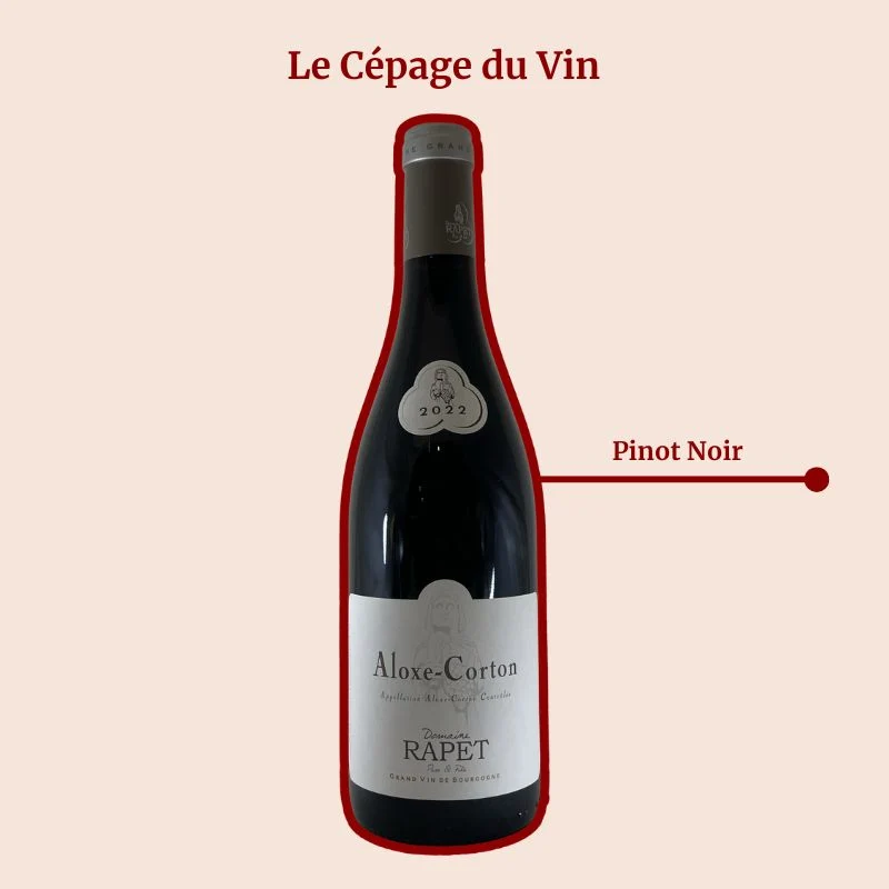 Domaine Rapet Père & Fils · 2022