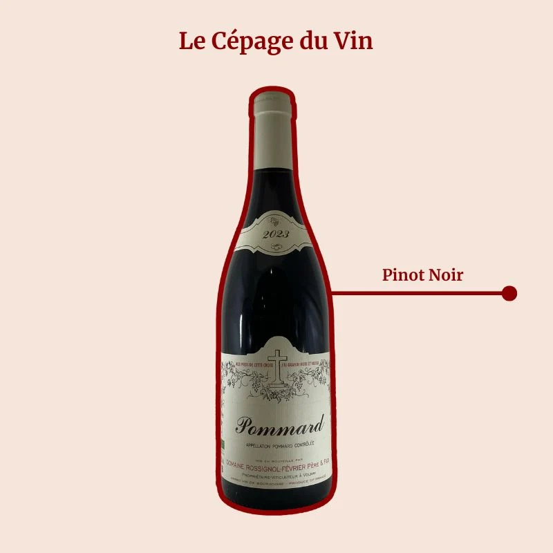Domaine Rossignol-Février · 2023