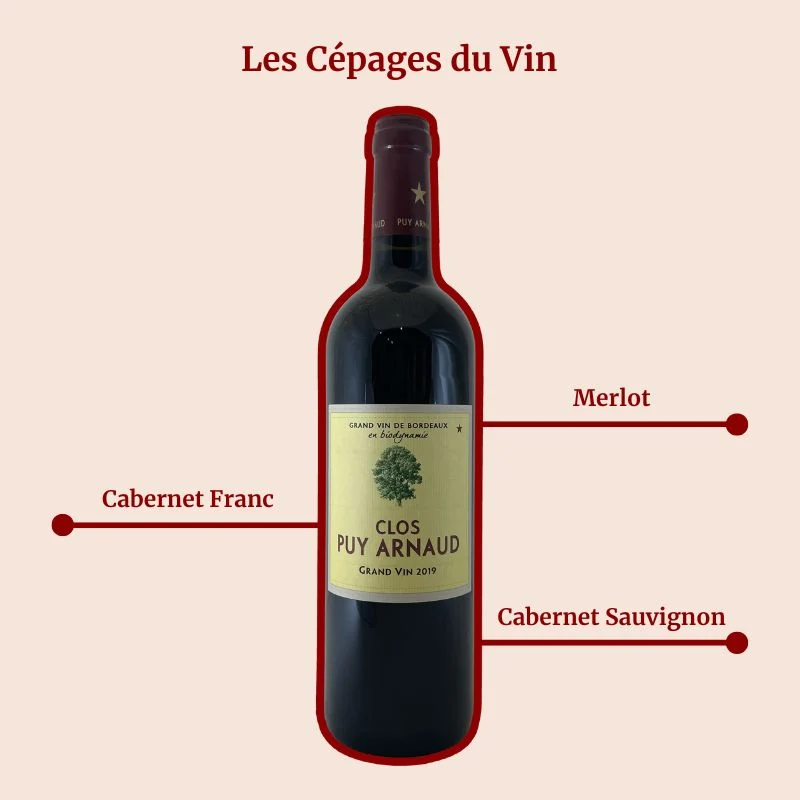 Château Puy Arnaud · 2019
