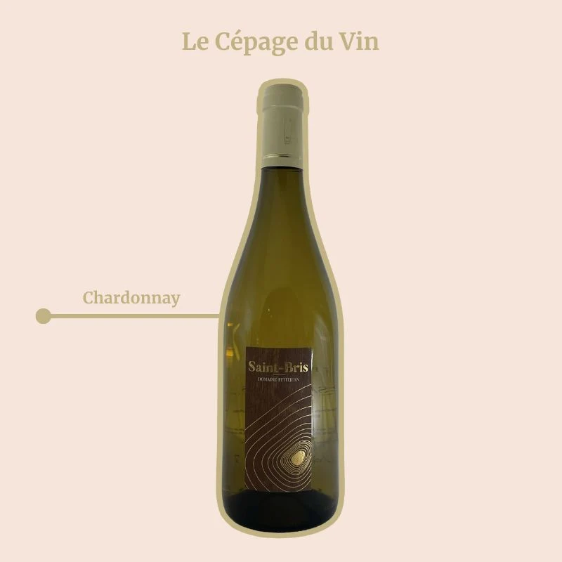 Domaine Petitjean · 2024