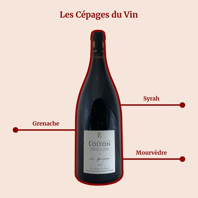 Domaine Coston · Les Garigoles · Magnum · 2020
