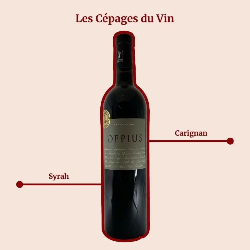 Château d’Oupia · Oppius · 2019
