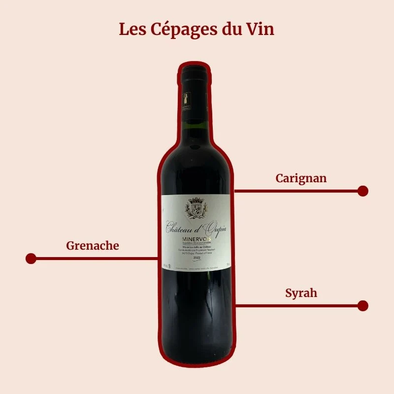 Château d’Oupia · 2022