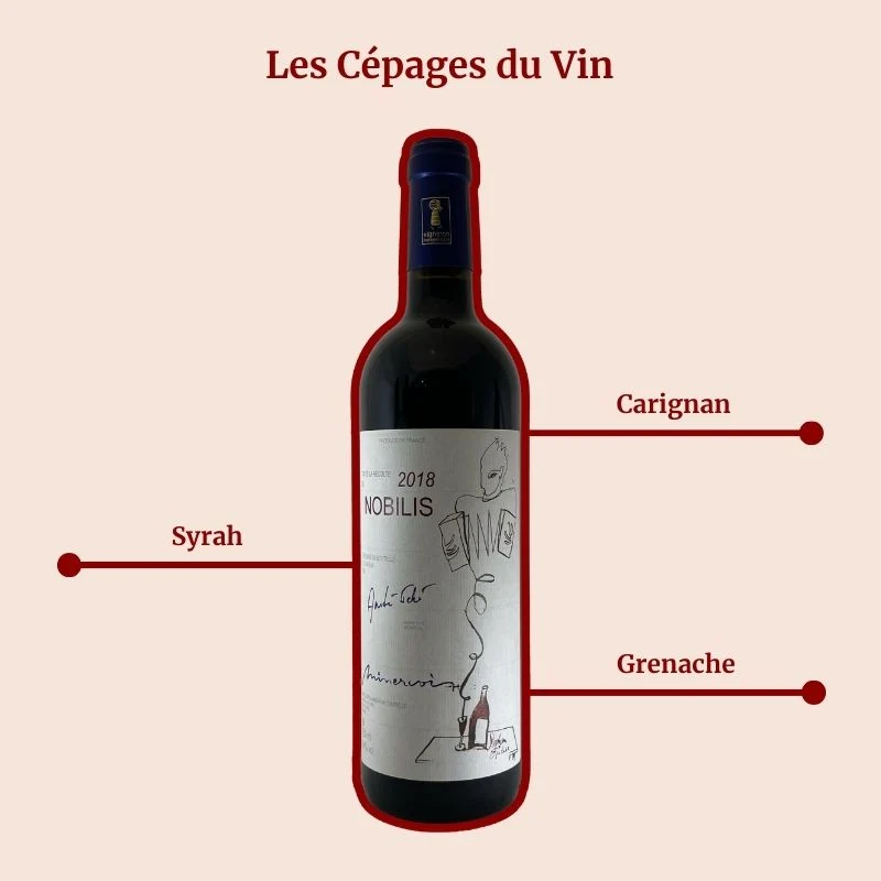 Château d’Oupia · Nobilis · 2019