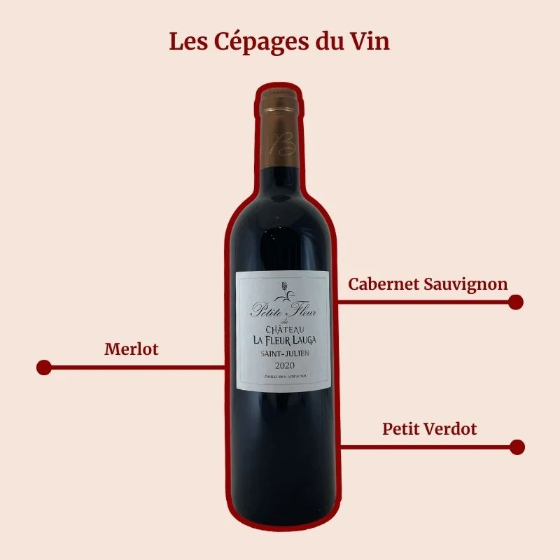 Château de Lauga · Petite Fleur du Château La Fleur Lauga · 2020